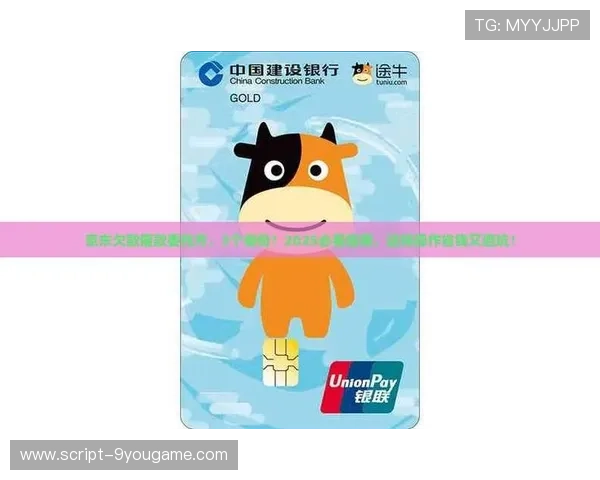 玩球看盘口用什么网避坑指南数字高频玩法防骗